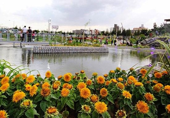 Flower Garden