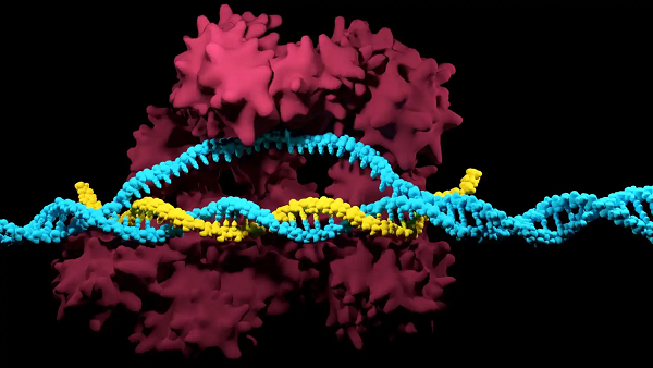 A big step forward for gene therapy